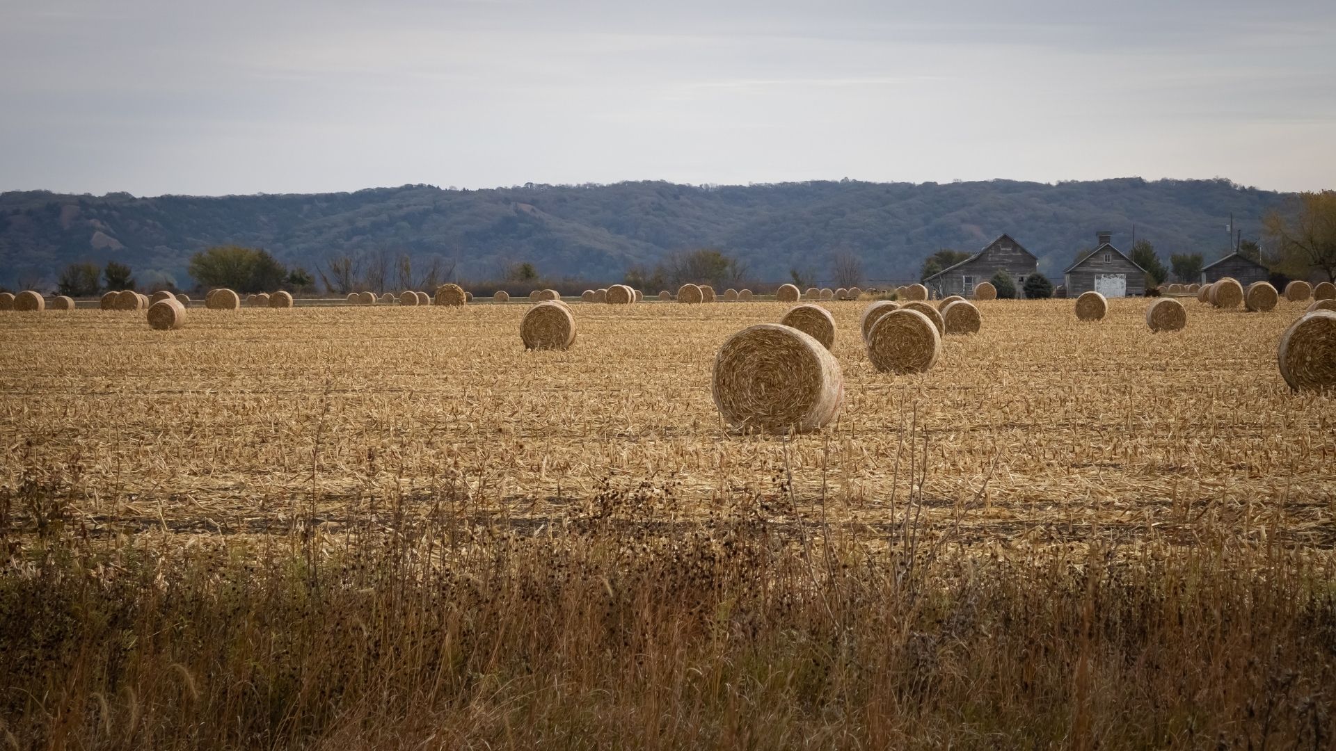 Hectare Acre Converter